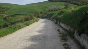 Viabilità rurale, dalla Regione 65 milioni per gli imprenditori agricoli .