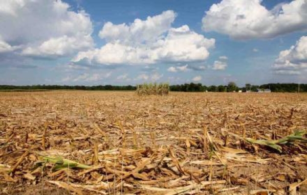 Siccità in agricoltura, ok da Conferenza Stato-Regioni alle &quot;circostanze eccezionali&quot;