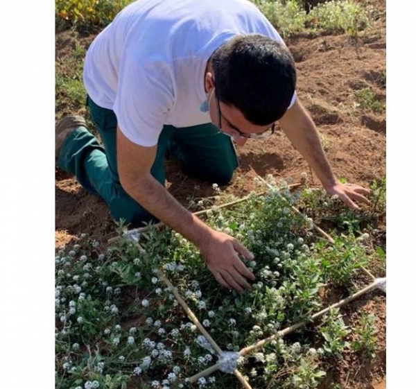 A Bukkuram (Pantelleria)le prove Novamont delle pratiche agricole ecosostenibili.