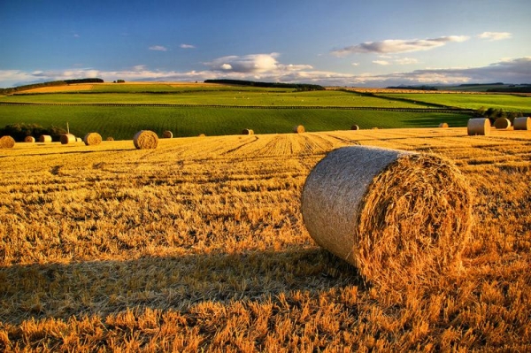 Agricoltura, in arrivo 30 mln per aree interne e zone montane