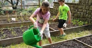 Giardini Scolastici. La Sicilia quart&#039;ultima tra le regioni d&#039;Italia con 5 mq per minore. A Enna 4,8 mq.