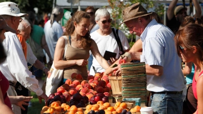 Regalbuto. Fase 2. Ripartire dall&#039;agricoltura con i finanziamenti europei.