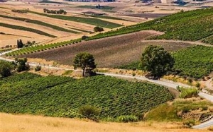 Bando per lo sviluppo rurale in Sicilia.