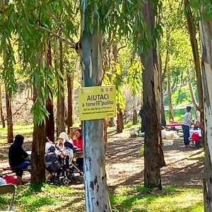 Regalbuto in zona gialla. La Sicilia in giallo.