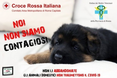 In Italia si moltiplicano gli abbandoni degli animali.