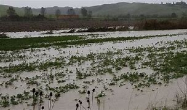 Terreni allagati . L&#039;allarme della Coldiretti Sicilia.