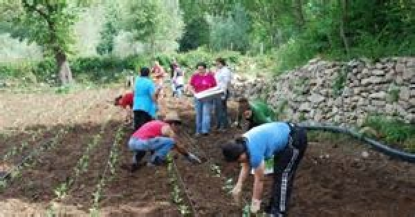 Coldiretti.&quot; Centinaia di domande per i lavori nei campi.Per lo più giovani italiani e laureati.