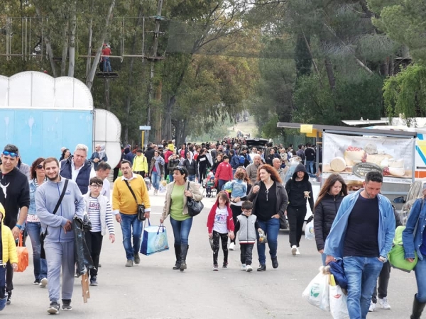 Regalbuto. La corsa è già iniziata.Non bisogna perdere tempo.